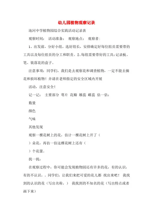 幼儿园植物观察记录