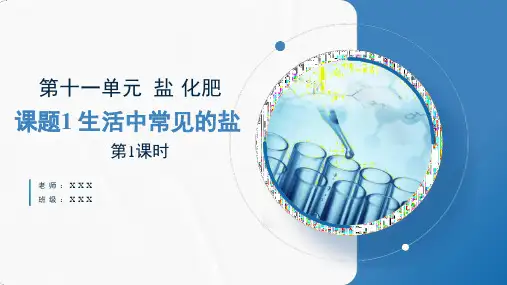 《生活中常见的盐》第1课时教学课件