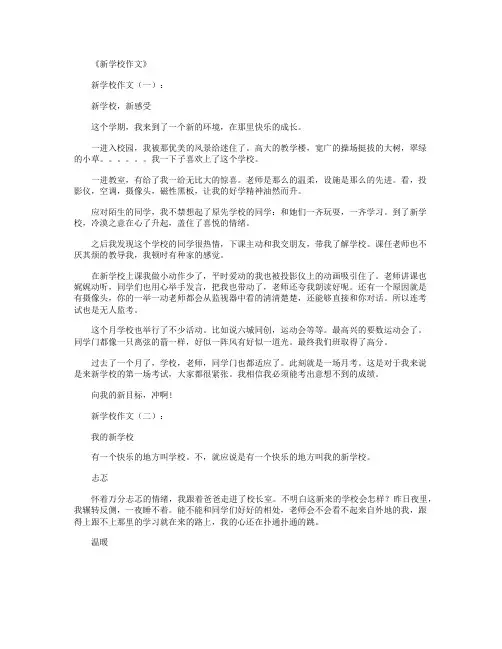 新学校作文12篇