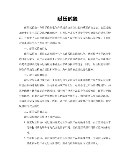 耐压试验-专业文档