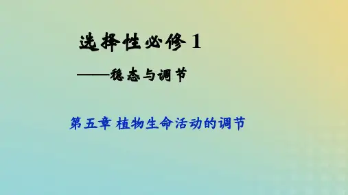 高中生物5-3植物生长调节剂的应用课件新人教版选择性必修1