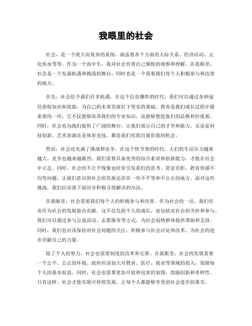 我眼里的社会