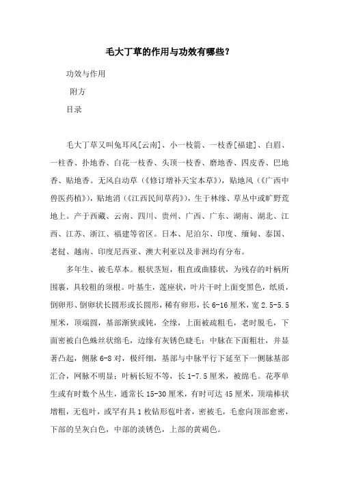 毛大丁草的作用与功效有哪些？