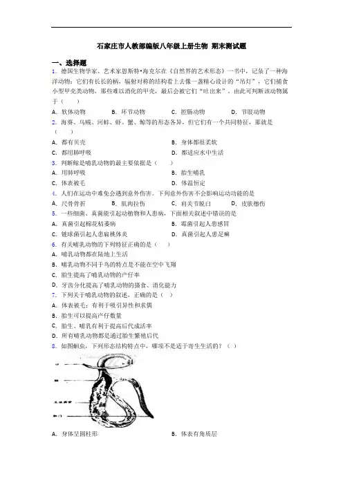 石家庄市人教部编版八年级上册生物 期末测试题 2