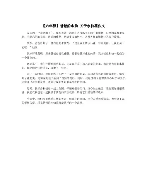【六年级】爸爸的水仙 关于水仙花作文