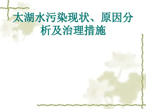 太湖水污染原因分析、现状及治理