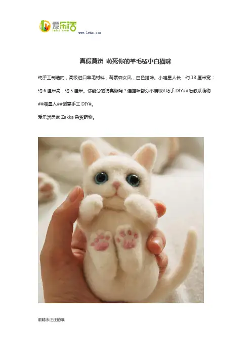 真假莫辨 萌死你的羊毛毡小白猫咪