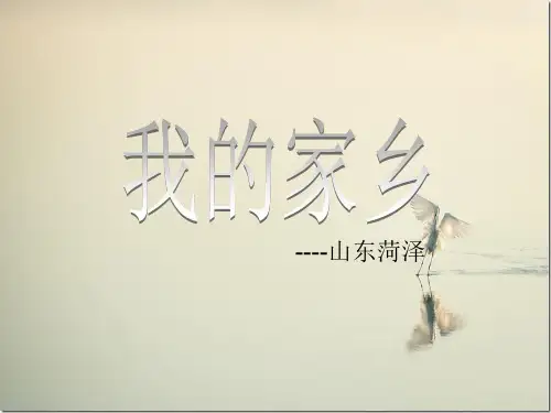 山东菏泽介绍
