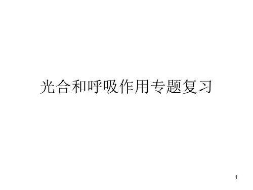 高中生物 高考二轮复习《光合和呼吸作用》专题复习课件