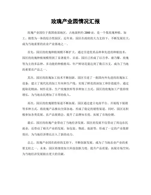 玫瑰产业园情况汇报