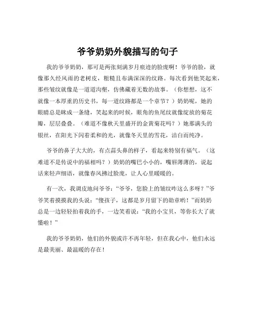 爷爷奶奶外貌描写的句子