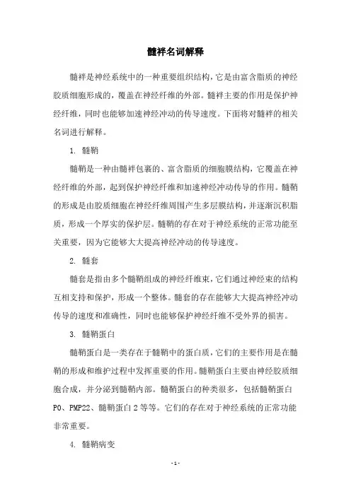 髓袢名词解释
