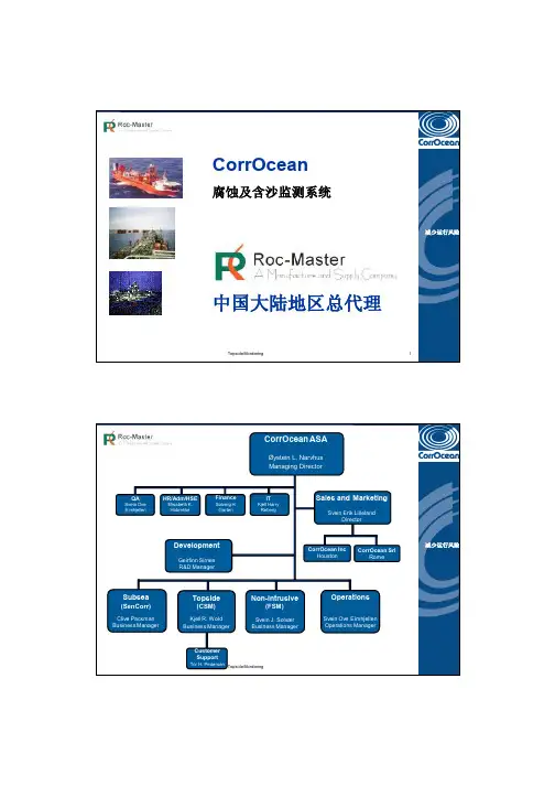 CorrOcean 中文产品介绍