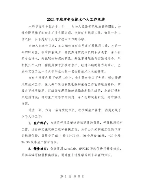 2024年地质专业技术个人工作总结（5篇）