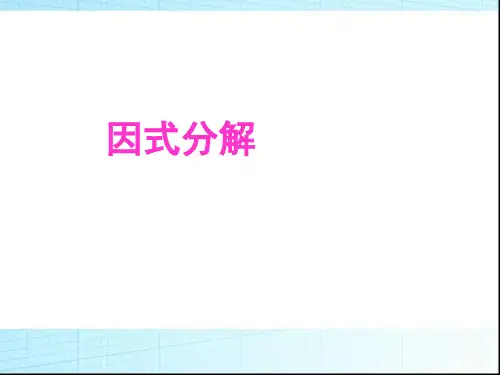[神奇的数学课]12.5《因式分解》课件(共14张PPT)