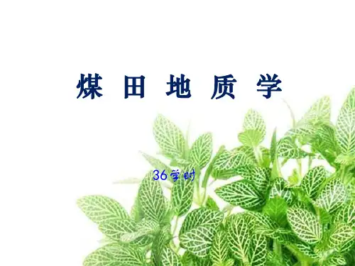 煤田地质学 ppt课件