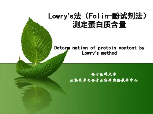 2-folin-酚试剂法测定蛋白质含量