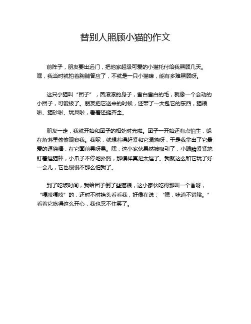 替别人照顾小猫的作文