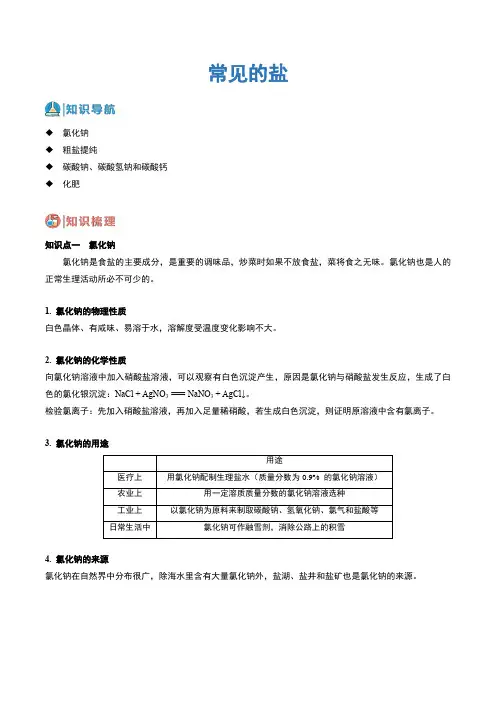 中考化学知识点精讲 常见的盐