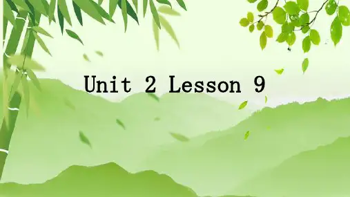2022-2023学年冀教版英语九年级全册 Unit 2 Lesson 9 课件