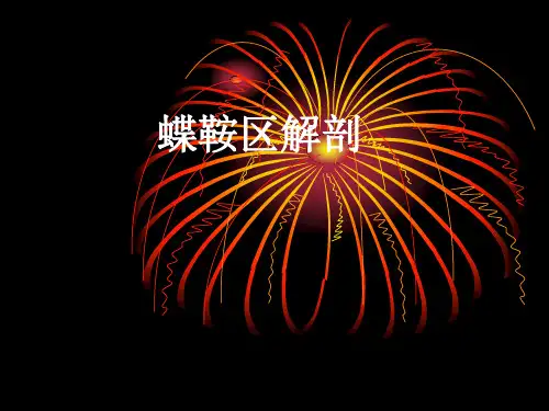 《鞍区解剖》ppt课件共39页文档