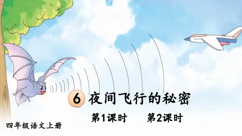 部编人教版四年级语文上册《6 夜间飞行的秘密》优秀PPT课件