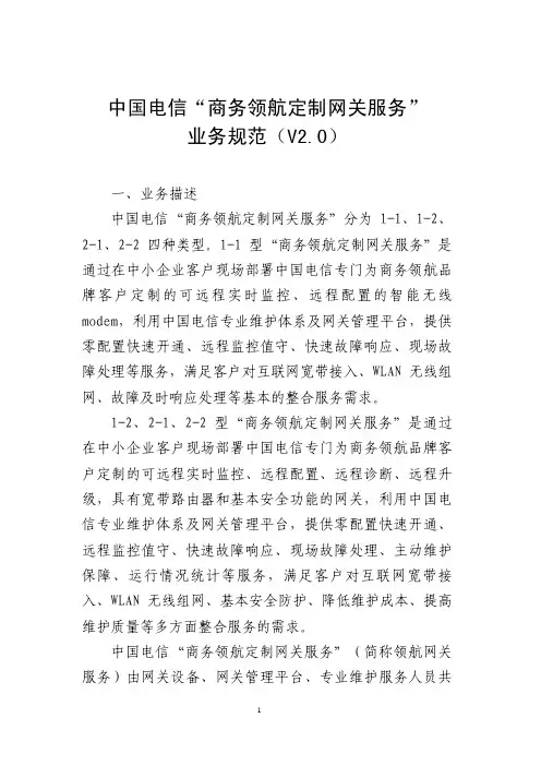 中国电信商务领航定制网关服务业务规范V2