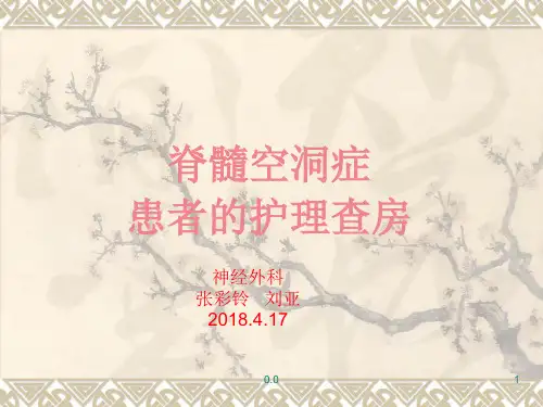 报告脊髓空洞症病人的_护理.ppt