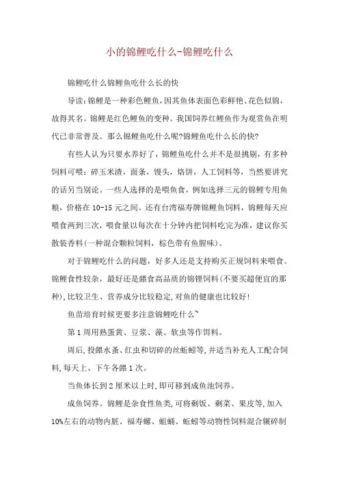 小的锦鲤吃什么-锦鲤吃什么