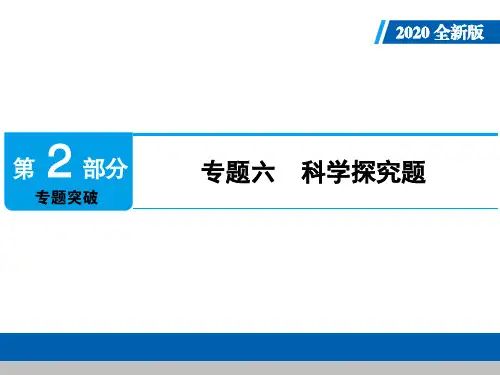 2020年人教版中考化学专题复习课件：专题六 科学探究题(共82张PPT)