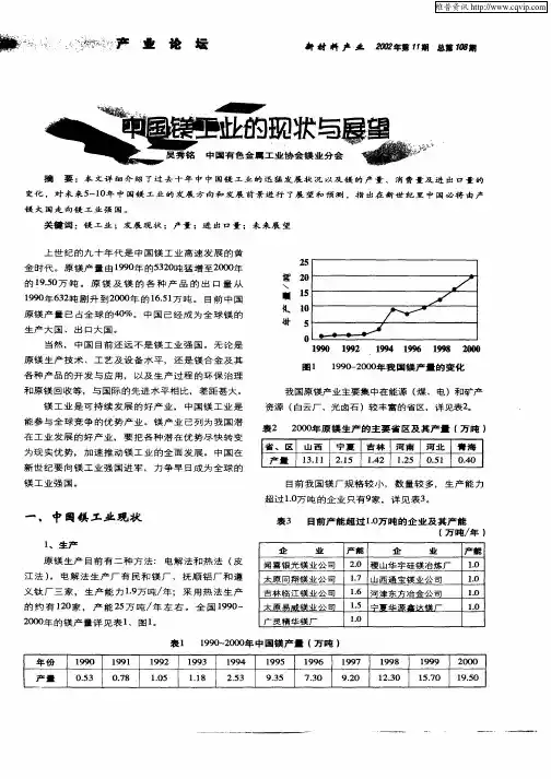 中国镁工业的现状与展望
