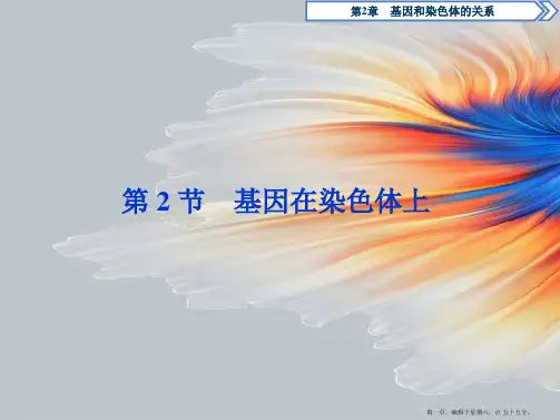 学年高中生物第2章基因和染色体的关系第2节基因在染色体上课件新人教版必修2