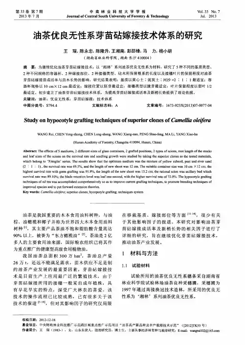 油茶优良无性系芽苗砧嫁接技术体系的研究