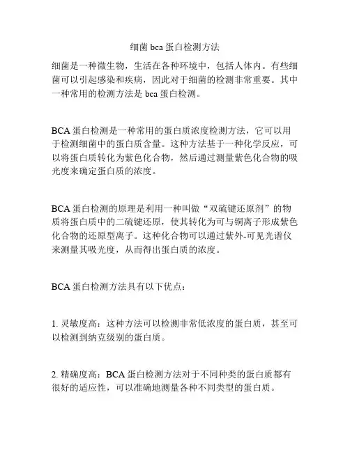 细菌bca蛋白检测方法