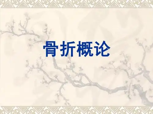 骨折概论