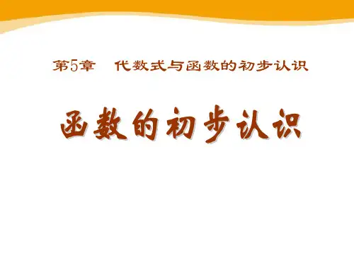 《函数的初步认识》课件ppt文档