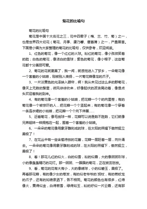 菊花的比喻句