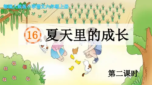 16《夏天里的成长》第2课时示范课教学PPT课件【统编人教六年级语文上册】
