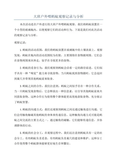 大班户外喂蚂蚁观察记录与分析