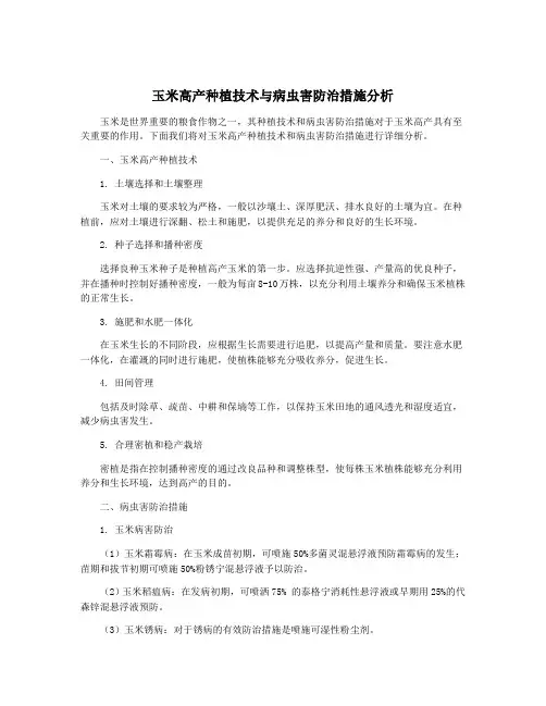 玉米高产种植技术与病虫害防治措施分析