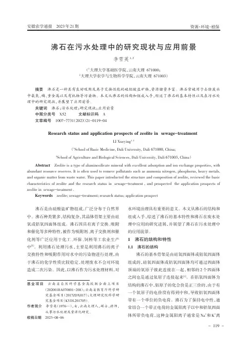 沸石在污水处理中的研究现状与应用前景
