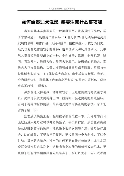 如何给泰迪犬洗澡 需要注意什么事项呢