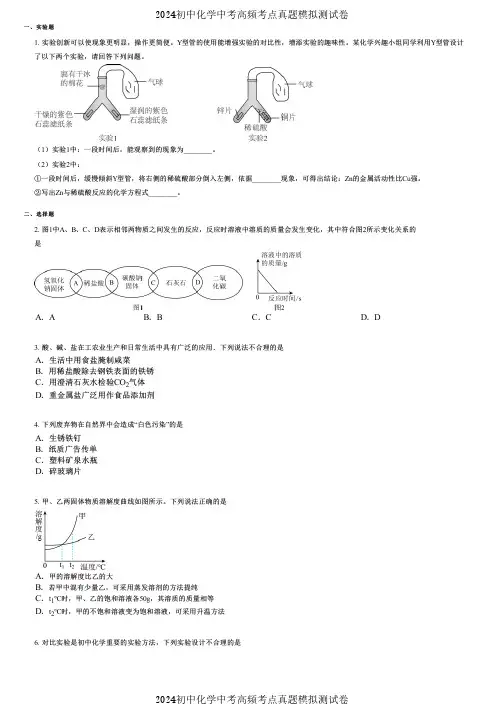 2024初中化学中考高频考点真题模拟测试卷 (5638)