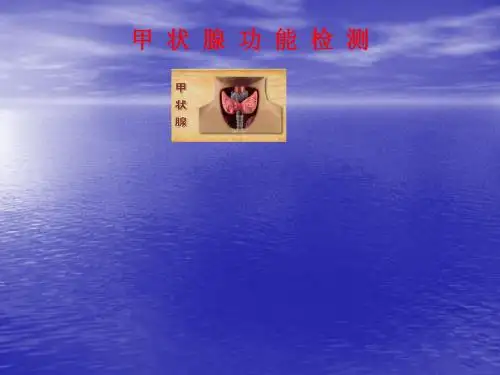 甲功检测PPT课件