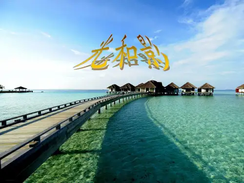 五年级上册科学课件- 光和影教科版 (共23张PPT)