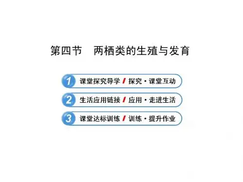 14.4 两栖类的生殖与发育 课件 (苏教版八年级下)