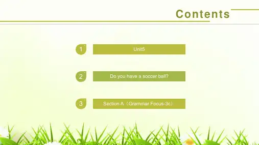 人教版七年级英语上册 Unit 5 Section A(Grammar Focus-3c)课件