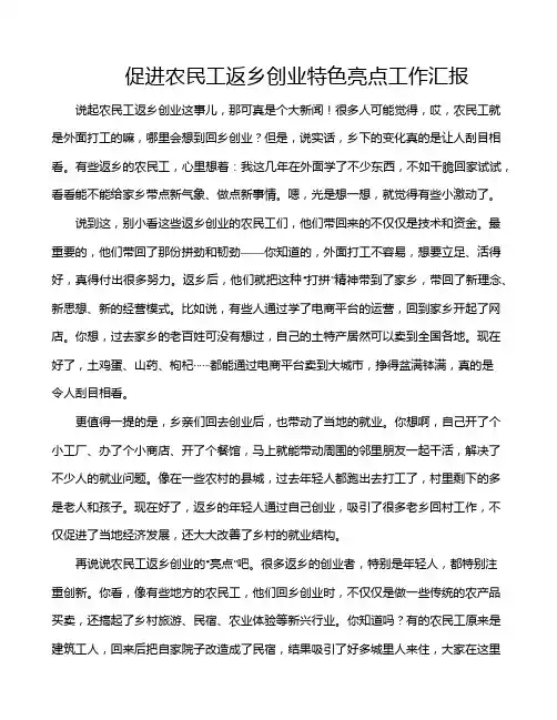 促进农民工返乡创业特色亮点工作汇报