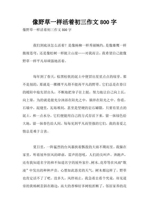 像野草一样活着初三作文800字