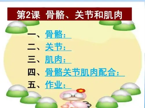 骨骼、关节和肌肉